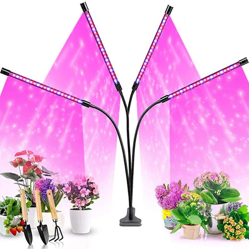 Indoor Plant Lighting